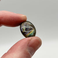 Cabochon en Labradorite - CLABXTRA041