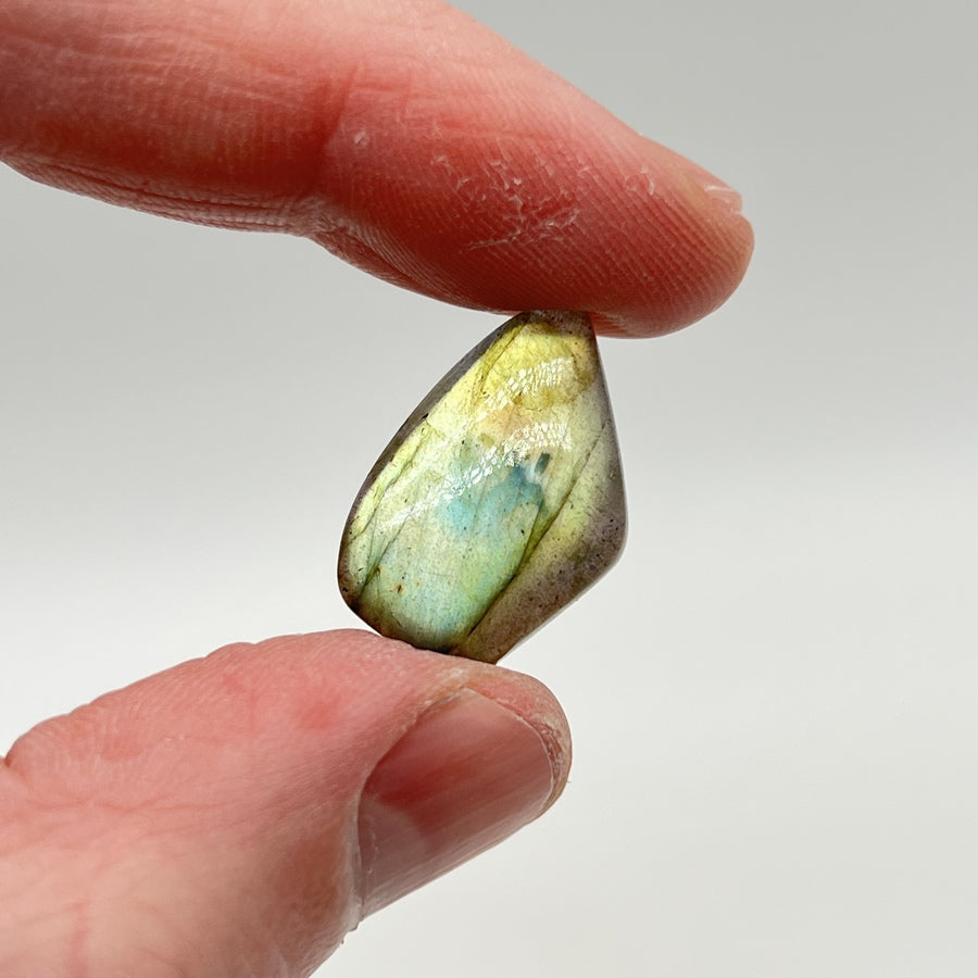 Cabochon en Labradorite - CLABXTRA025