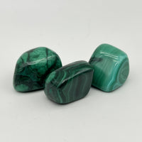 [RARE] Lot de Malachite "Transformation" - LOTMALA091