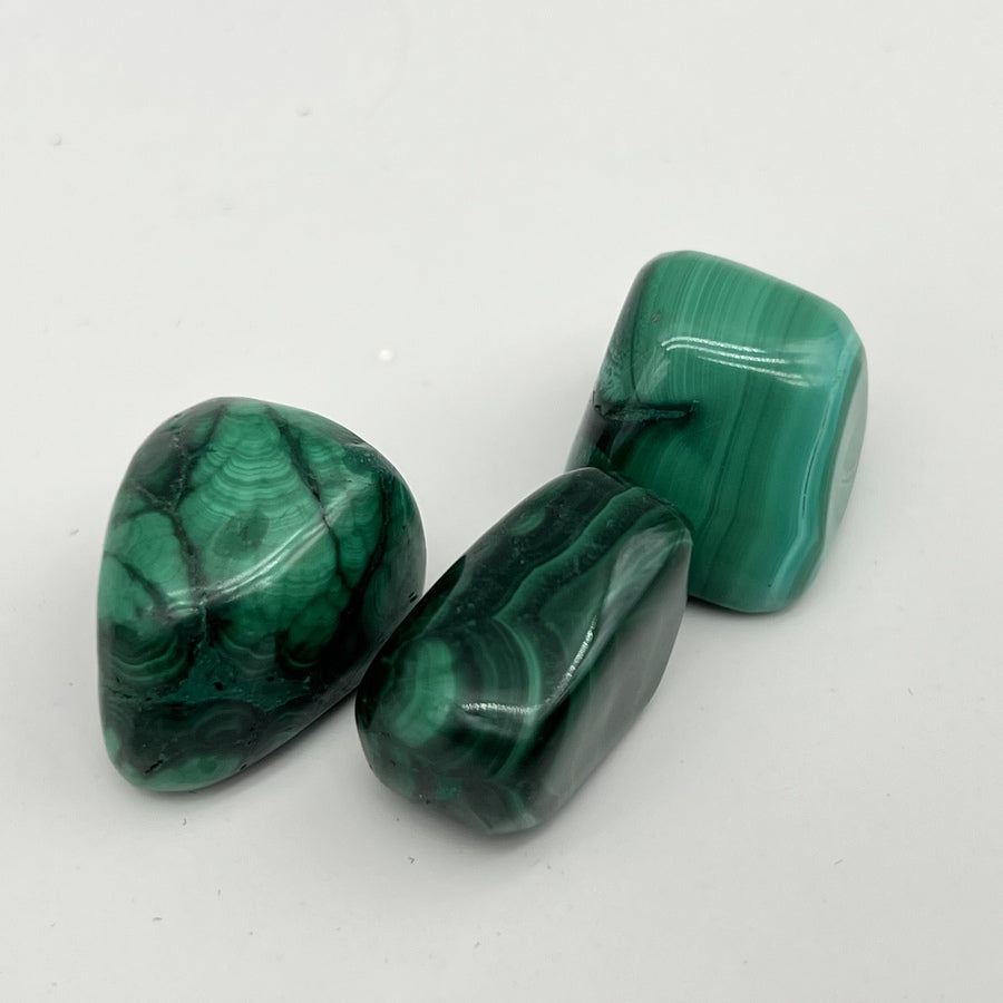 [RARE] Lot de Malachite "Transformation" - LOTMALA091