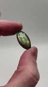 Cabochon en Labradorite - CLABXTRA046